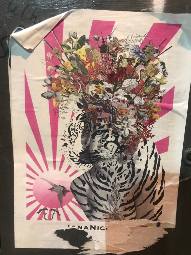 20190410_194424863_iOS