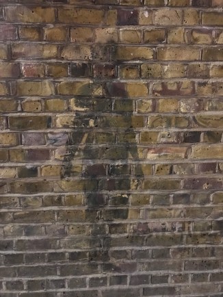 20190410_194752283_iOS