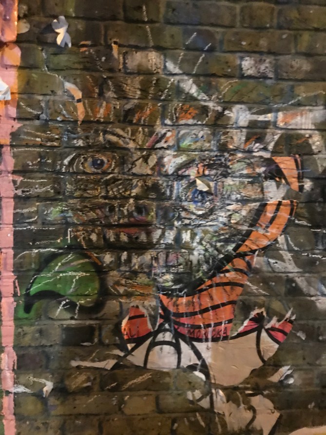 20190410_195628077_iOS