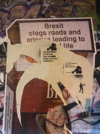 20190410_202305949_iOS