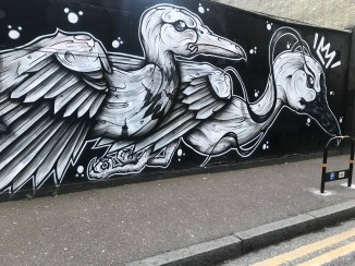 20190411_182253740_iOS