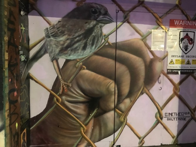 20190411_195555042_iOS