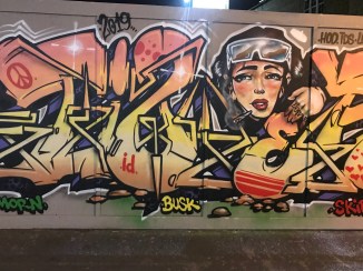 20190411_195653440_iOS