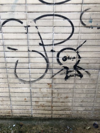 20190615_175658568_iOS