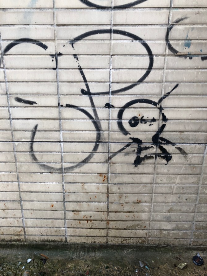 20190615_175658568_iOS