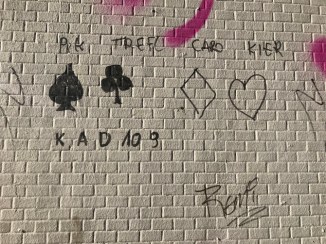 20190203_110429621_ios